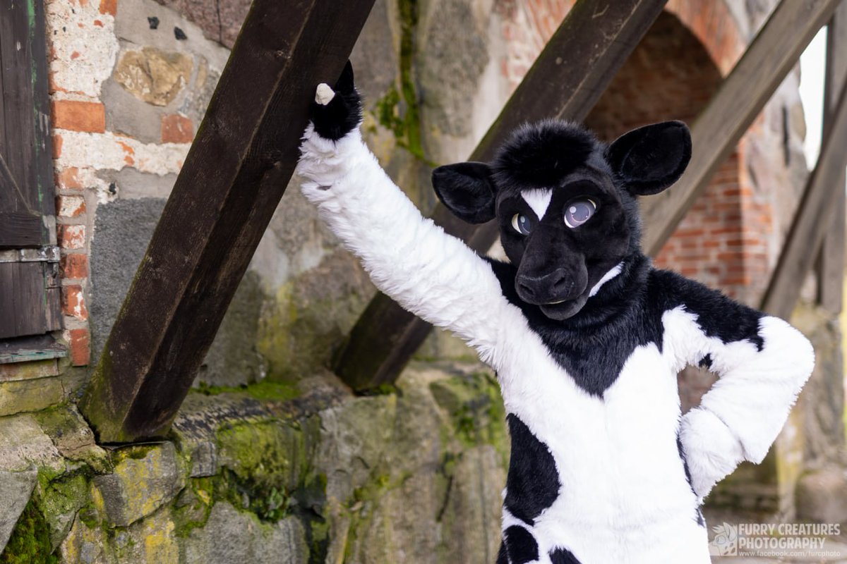 Hey there! Want to explore this old building together with me? Fursuit by the amazing @GoFurItstudios Photo by the awesome @FurCPhoto #FursuitFriday #furrycommunity