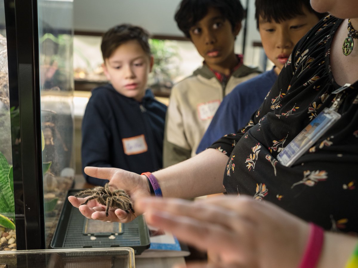 No weekend plans? We can help with that! Check out our What’s On Calendar to see all the drop-in activities you can join - like Bug Encounters, Saturdays at 11 am! 🕷️ royalalbertamuseum.ca/whats-on