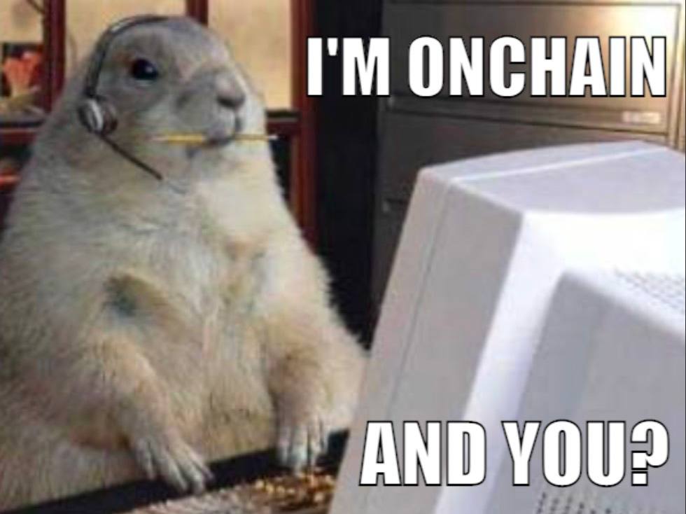 ERutherford79's tweet photo. I'm Onchain! Welcome omboard, warriors! @onchaincomputer https://t.co/FayHLXo7zB