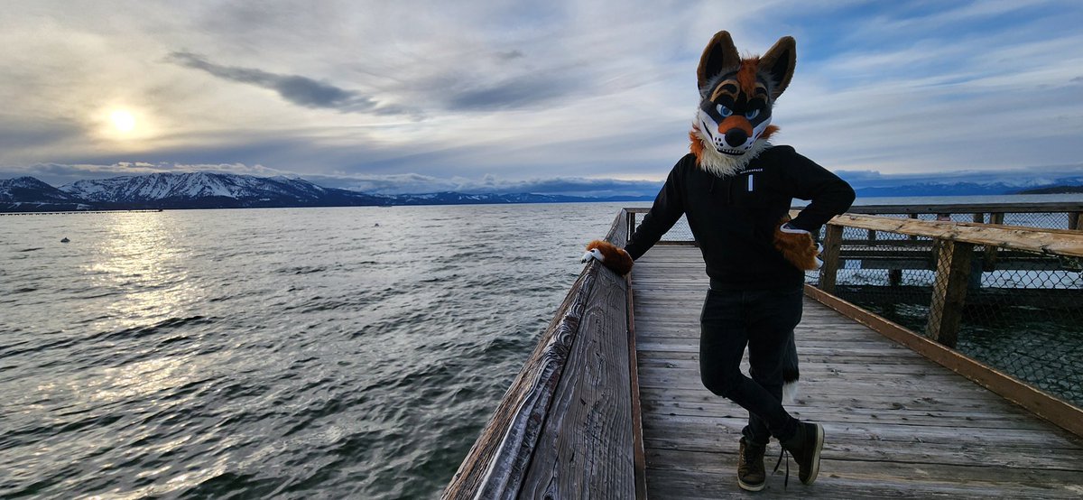 Edit 🔜 FWA (@editthefox) on Twitter photo This view is pretty… but not as pretty as you <3
👔: <a href="/arcadianatelier/">arcadian atelier</a>
📸: @foxgottafrolic
#FursuitFriday This view is pretty… but not as pretty as you <3
👔: <a href="/arcadianatelier/">arcadian atelier</a>
📸: @foxgottafrolic
#FursuitFriday