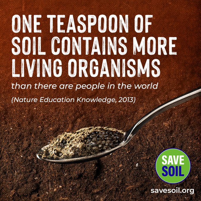 Do you know one teaspoon of soil contain more living organisms than people in our planet.🙏🙏🙏🌱🌱🌱🌳🌳🌳🌲🌲🌲🌴🌴🌴
#SaveSoil 
#ConsciousPlanet 
@cpsavesoil