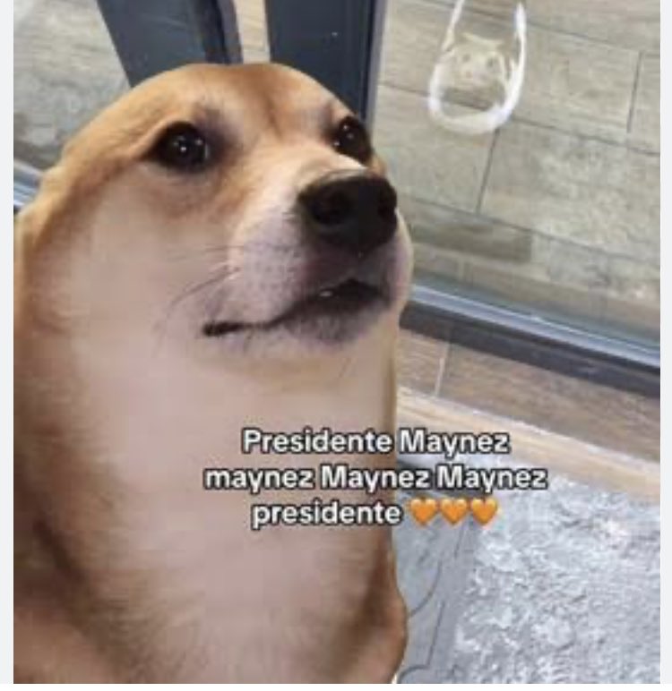 Yo cada 2 mins sin ninguna razón: