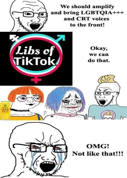 Libs of TikTok tweet media
