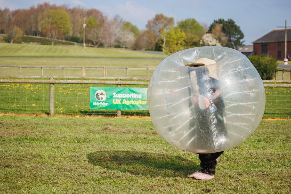 Get ready for action-packed fun at Devon County Show with SportyStars! 🏆SportyStars, will be hosting bubble football for children aged 4 – 12 across all three show days! 🎉 The @MoleValleyFarmers Mole has been having fun training for this year’s activities! #devoncountyshow