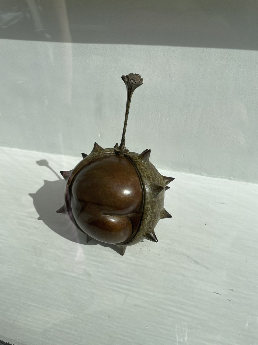 Spotted in the window of the Red Rag art gallery in Bath today: a sculpture of a bum shaped conker, surely of interest to @Wangleberry