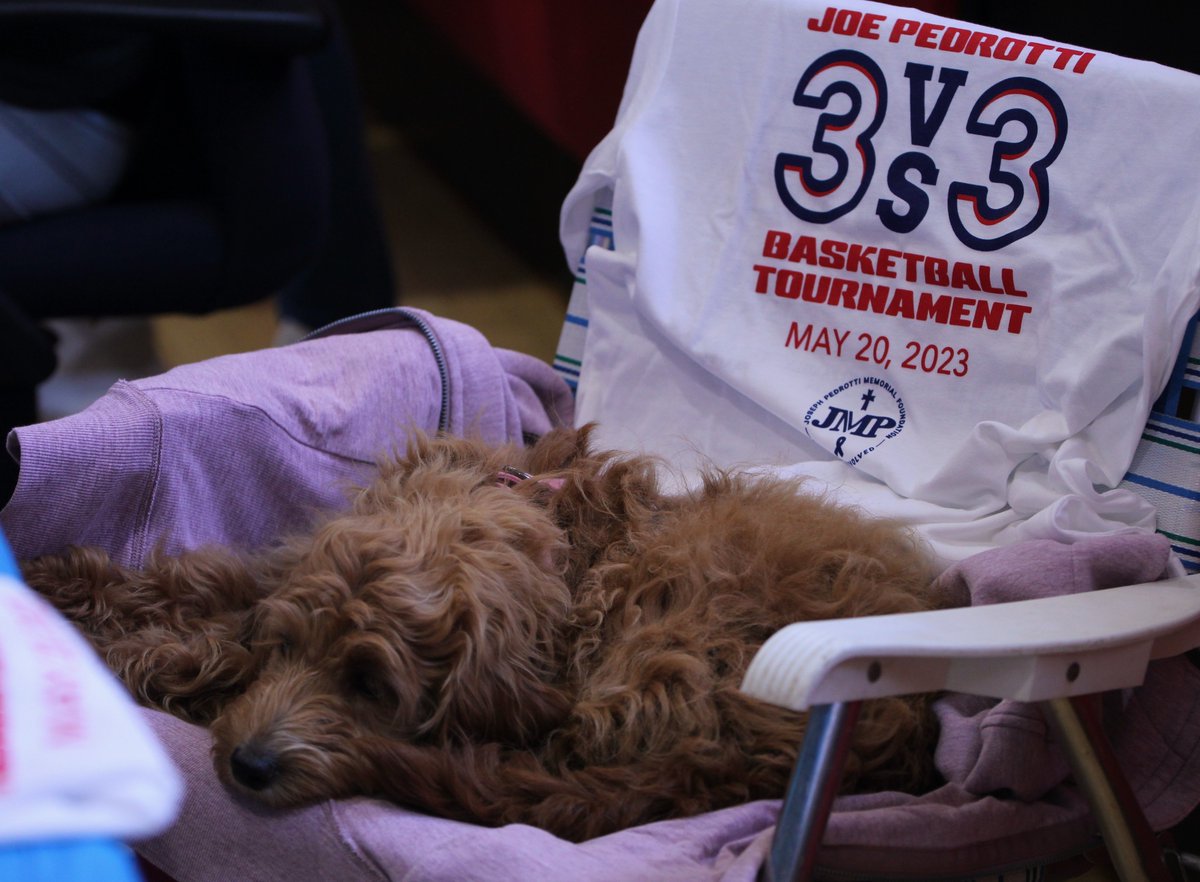 Joseph Michael Pedrotti Foundation tweet media