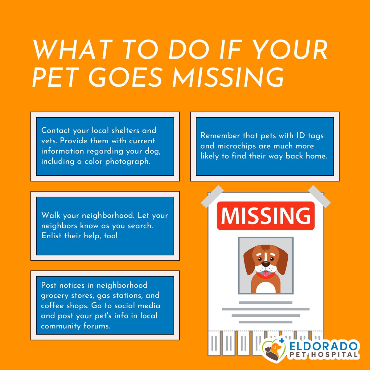 Lost pet? Stay calm and follow these steps to bring your furry friend home safe and sound! 🐾 #LostPet #PetSafety