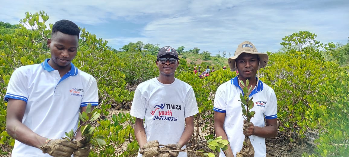Today, the Timiza Youth Initiative joined Plan International in Kenya for a mangrove restoration exercise at Mtwapa Creek, Kilifi County, as part of the launch of the Conservation of Marine Ecosystem project, #COSME.Together, we successfully restored over 5000 mangroves.