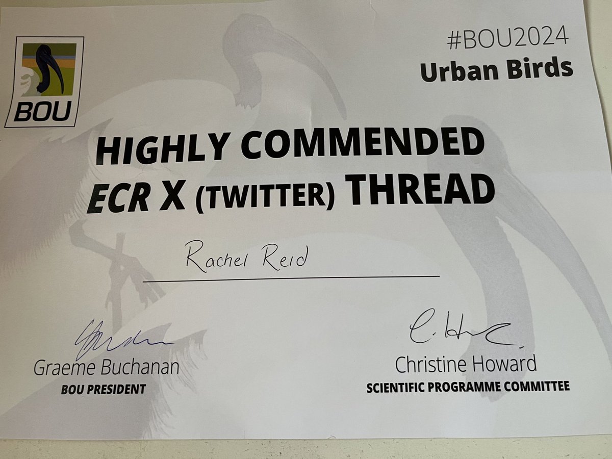 I had a fantastic time presenting my PhD research at #bou2024! It was great to see so many interesting talks about urban birds!