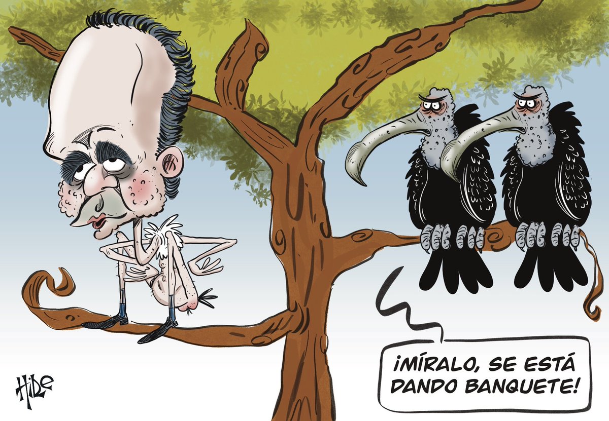 Caricatura de hoy para @midiariopanama artista invitado, @ElGallinazo 🤣🤣🤣