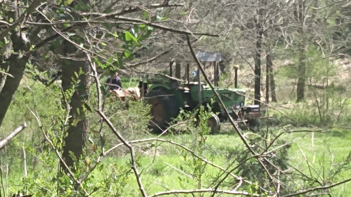 Brian and Carlos are clearing trees at the silo section. During the summer they'll spend all their time mowing the yards, mulching, etc. They can't plant annuals at the houses until the end of May.