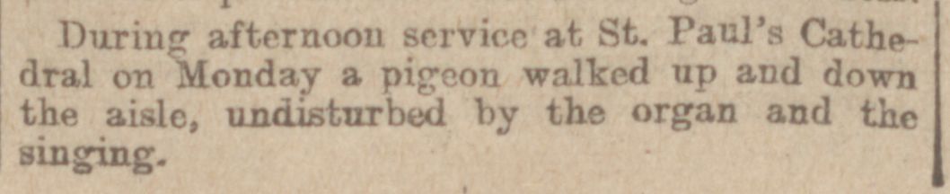 Coventry Evening Standard, April 1914. Hard hitting journalism about pressing local issues... 🦤😅📰 📸: @findmypast. #newspapers #newspaperarchive