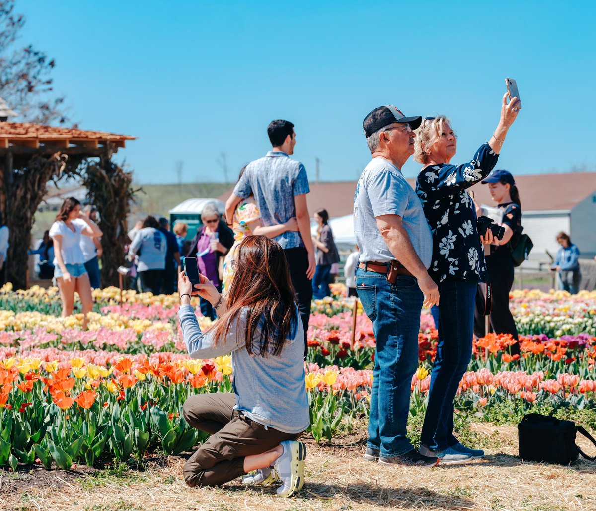 Thanks to everyone who came out for the Tulip Festival this past weekend! It was a picture-perfect event!