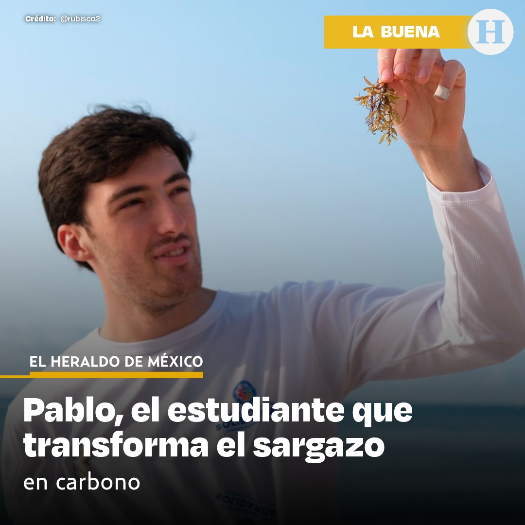 #LaBuenaDeHoy | Pablo Navarro, estudiante de física de la Universidad de Munich, se alió con la Secretaría de Medio Ambiente y Cambio Climático de Quintana Roo para desarrollar un proyecto de aprovechamiento del sargazo. El alga, de la que diario se recogen deceneas de toneladas…