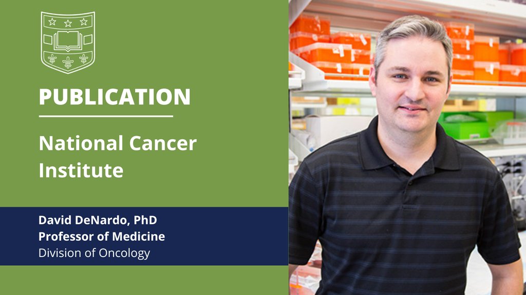 WashU Medicine Department of Medicine (@washudeptmed) on Twitter photo David DeNardo, PhD, <a href="/DeNardoLabWUSM/">David DeNardo WUSM</a> Professor of Medicine; Section Co-Director - Molecular Oncology @WashUOnc <a href="/WUSTLmed/">Test Account</a> was published <a href="/TheNCI/">National Cancer Institute</a>
His research team is working to understand why responses to cancer immunotherapy vary among patients.
More> l8r.it/2Efc David DeNardo, PhD, <a href="/DeNardoLabWUSM/">David DeNardo WUSM</a> Professor of Medicine; Section Co-Director - Molecular Oncology @WashUOnc <a href="/WUSTLmed/">Test Account</a> was published <a href="/TheNCI/">National Cancer Institute</a>
His research team is working to understand why responses to cancer immunotherapy vary among patients.
More> l8r.it/2Efc