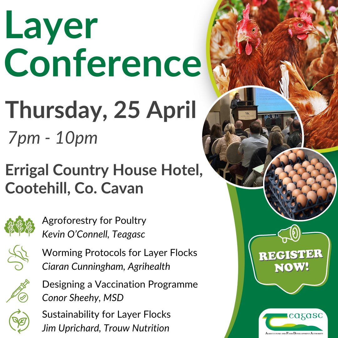 Join us for a Layer Conference on Thursday, 25 April from 7pm - 10pm in the Errigal Country House Hotel, Co. Cavan. Kevin O'Connell, @teagascforestry will discuss Agroforestry for Poultry. Register here bit.ly/4akiHXb @TeagascPoultry