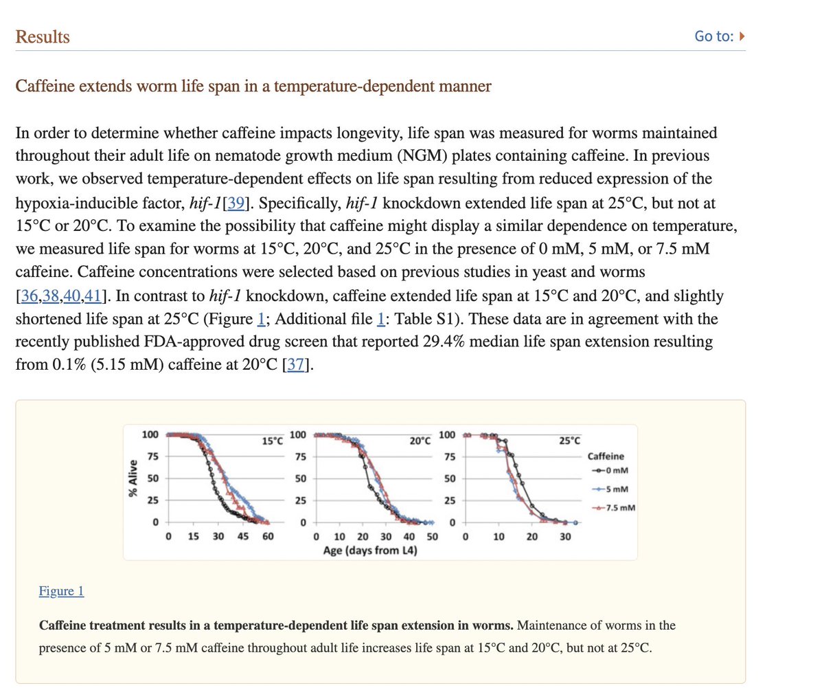 caffeine extends the lifespan of c elegans worms by 30% it is also associated with reduced all cause mortality in human beings a true superdrug