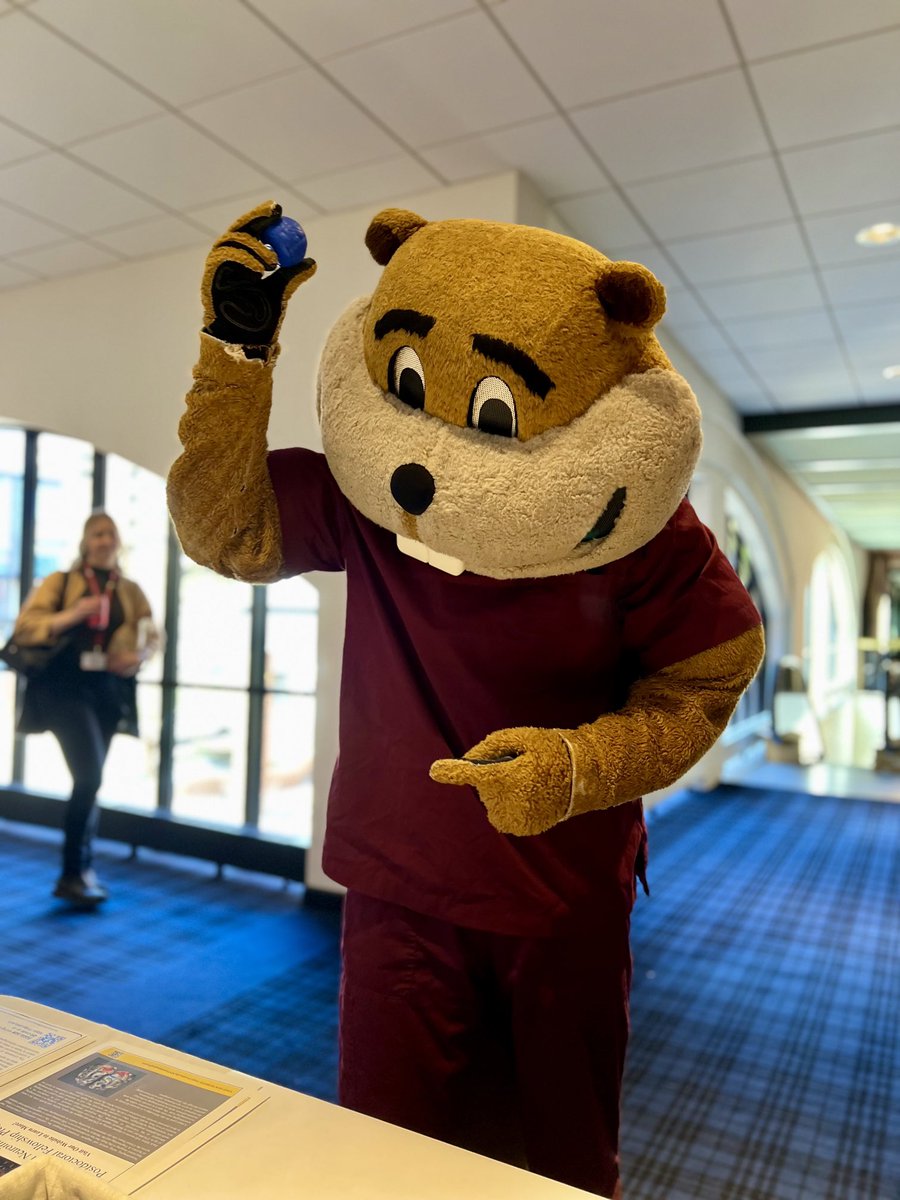 Karriemolitor's tweet photo. Goldy made an appearance at neuromod today! He visited the MnDRIVE Brain Conditions booth so we snapped a couple pictures with him. #Neuromod2024 #IEMInnovationWeek #UMN https://t.co/CgXkhTczQU