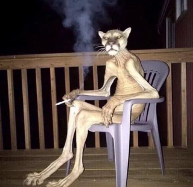 la mia estate in italia: