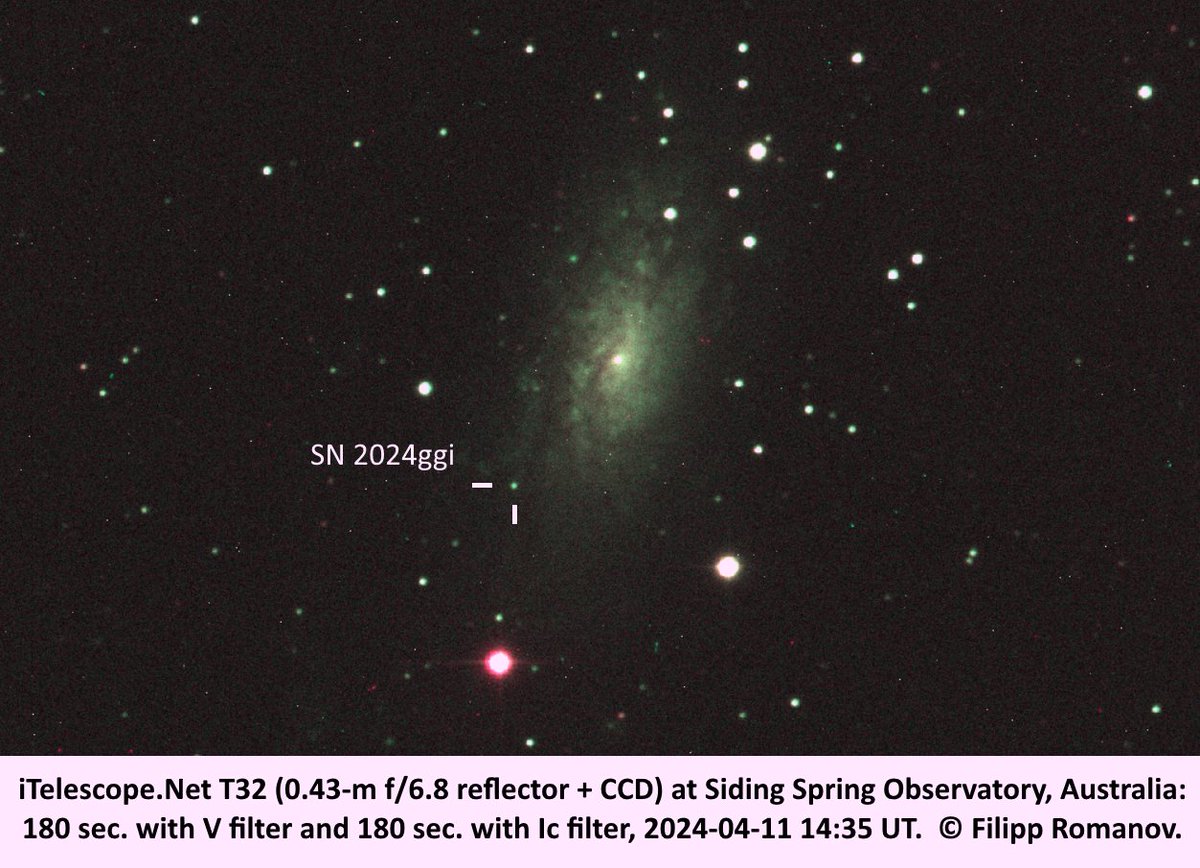 On 2024-04-11 I observed a fairly close (6.7 Mpc) supernova SN 2024ggi in NGC 3621 remotely at @iTelescope_Net in Australia: photographed while its brightness was increasing. It was 16.2 V. Image: 180-sec. V and Ic photos. @Astroguyz @DavidBflower @El_Universo_Hoy @ThePhotoHour