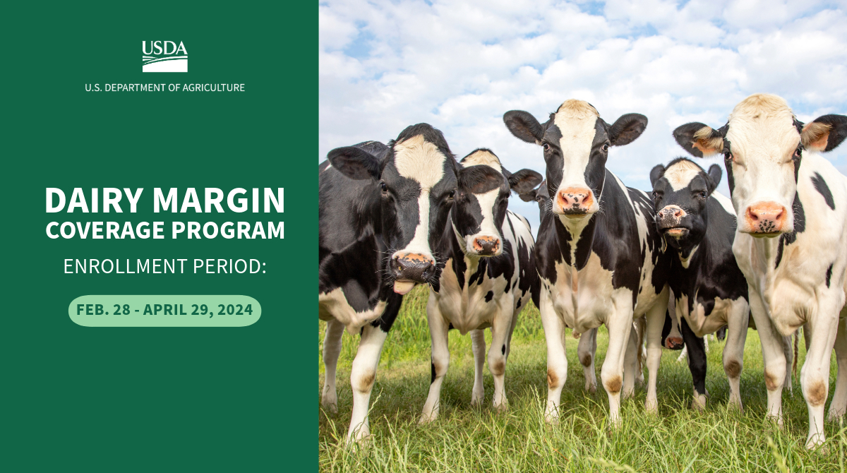 Dairy Producers have until April 29, 2024 to enroll in the Dairy Margin Coverage Program, an important safety net program that provides producers with price support to help offset milk and feed price differences. Don't delay! bit.ly/3uKaGLw