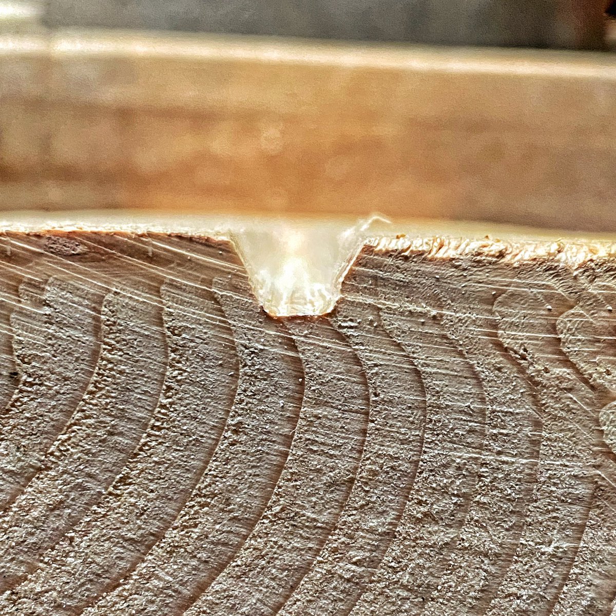 This is an epic moment for my #solitarybee research. Those in the know will know how significant this picture is to me. 10 minutes in the garage with the correct tools and voila! Big thanks goes to @artlabcps (Tracy) for the help and @_wood_butcher_  and <a href="/hodge/">Adam Hodge</a>.design