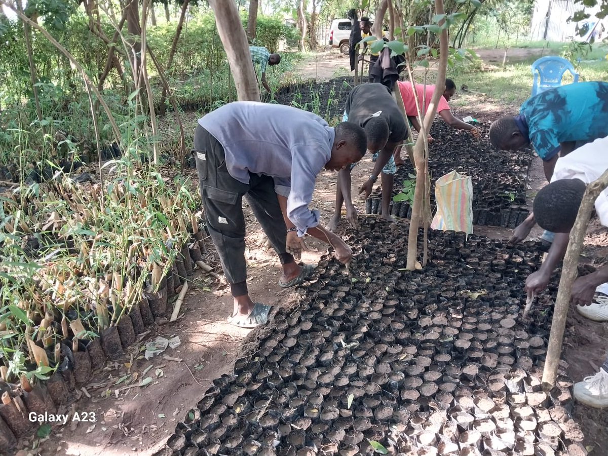ke_asili's tweet photo. Teach and Learn as Asili, we are very excited about always getting new ways in the betterment and growth of nurseries through our various community interactions we are able to bring cleaner and greener spaces. #asili #generationrestoration #climatefocus #ClimateAction #climate https://t.co/PXIrrfgFyS