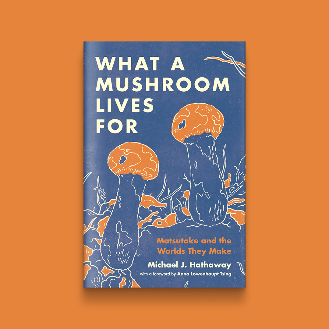 Congratulations to Michael J. Hathaway, whose book What a Mushroom Lives For has won the Labrecque-Lee Book Prize, @CASCATweet.

Learn more about this important book:
hubs.ly/Q02sJWrX0 #AnthroTwitter