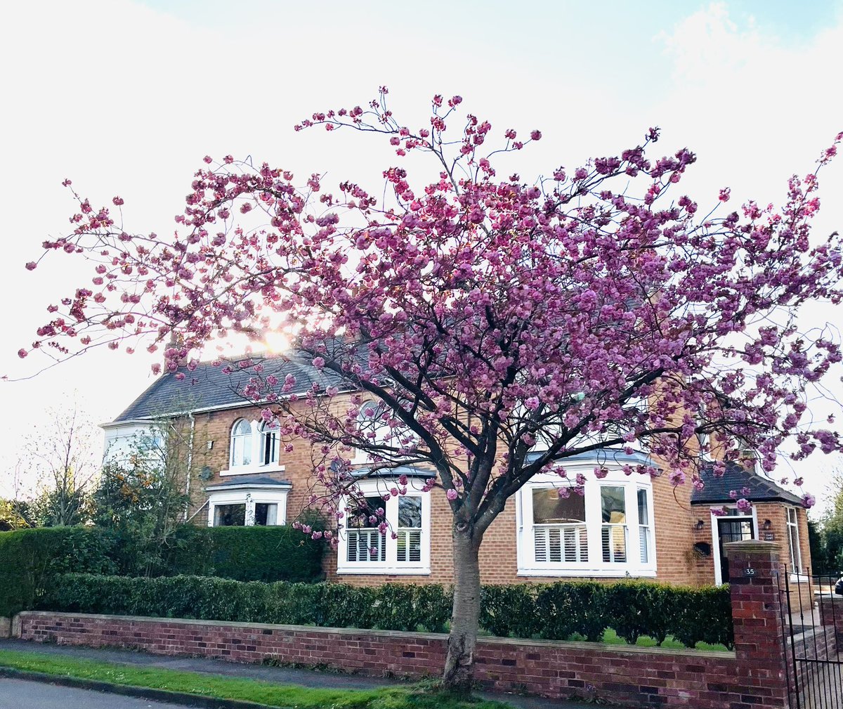 It’s that time of year! #Nunthorpe ❤️🌸🍒🌺