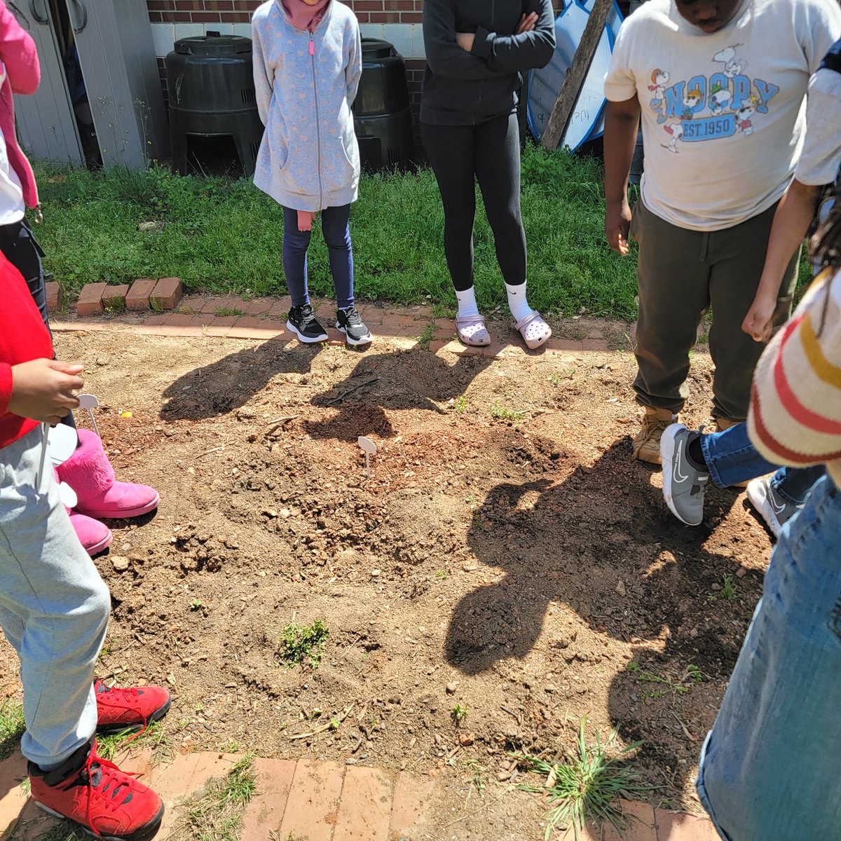 Starting our three sisters garden <a href="/MECME_School/">MillbrookElem</a>