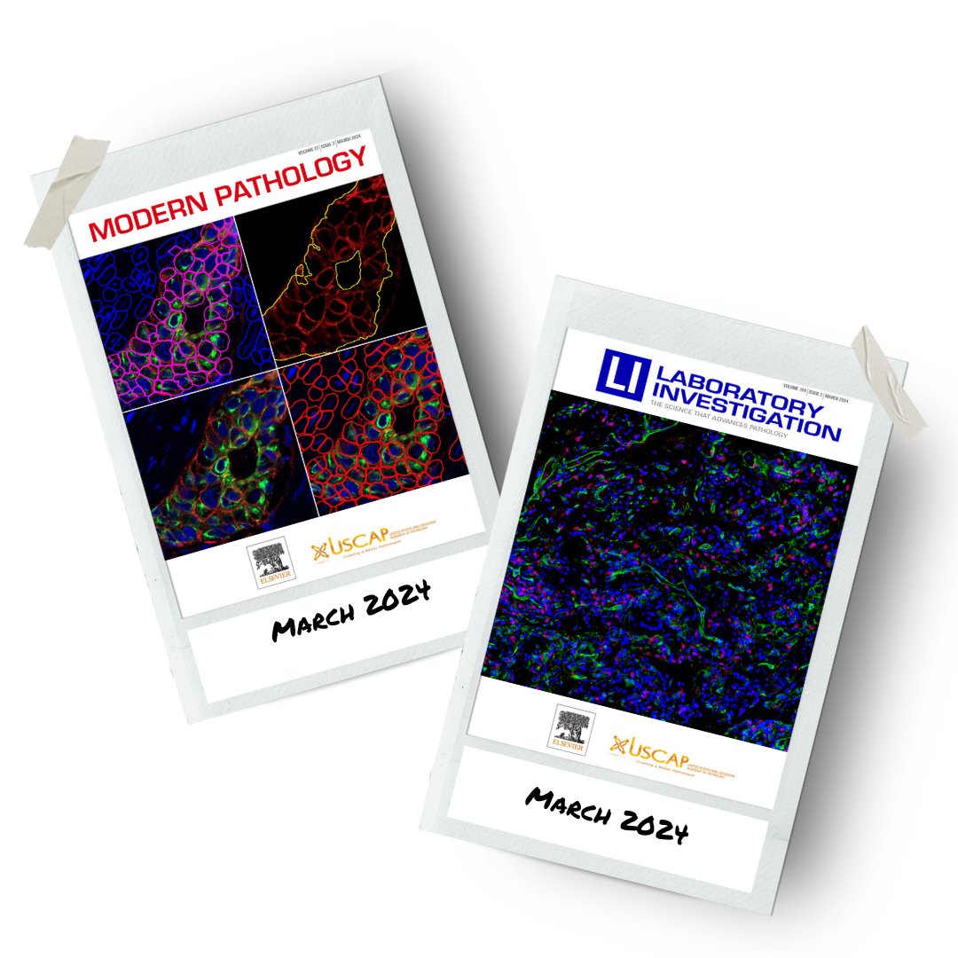 The Modern #Pathology March Cover features images from the #ReviewArticle 'High-Plex Assessment of #Biomarkers in #Tumors' by Thazin Aung, Katherine Bates, & @RimmPathology Featured in our Special Issue: 'Next Generation Pathology: Technological Advances in #AnatomicalPathology'