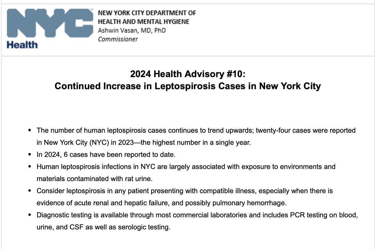 Yikes! New York City is seeing an uptick in cases of a disease largely associated with exposure to rat urine, per this @nycHealthy advisory that went out today.