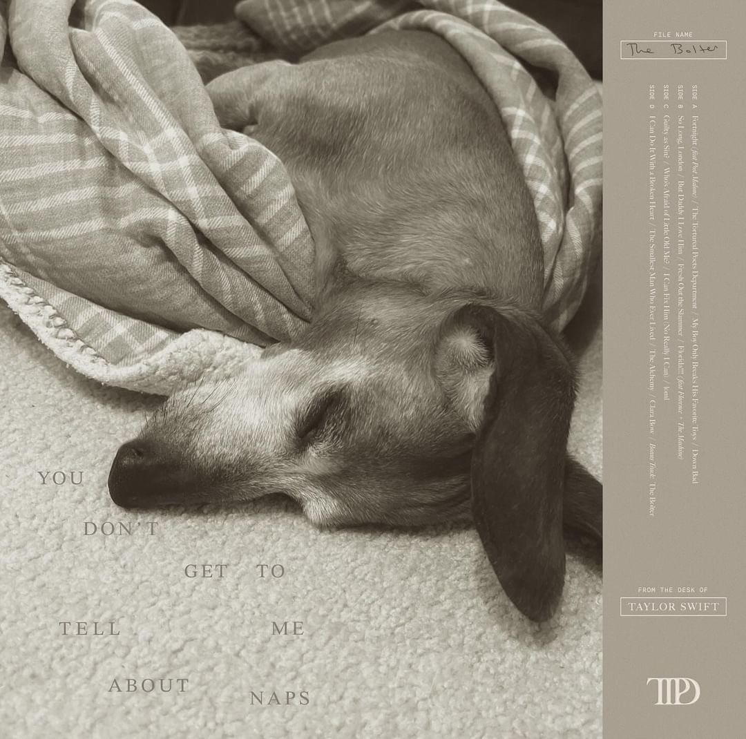 Kathleen Young Seattle 7/22, 7/23π¬π§ Wembley 6/22 (@kath_hawk) on Twitter photo My dog Bolt had preordered #thebolter version. We are so ready for #TSTTPD
<a href="/taylorswift13/">Taylor Swift</a> <a href="/taylornation13/">Taylor Nation</a> My dog Bolt had preordered #thebolter version. We are so ready for #TSTTPD
<a href="/taylorswift13/">Taylor Swift</a> <a href="/taylornation13/">Taylor Nation</a>