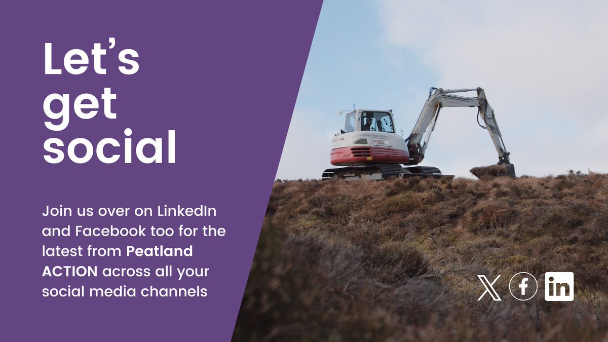 This #SphagnumMonday why not connect with us across all your social media accounts? #PeatlandACTION is also on Facebook and LinkedIn. Join us for more peatlands content! 👉 Facebook: t.ly/S3kSM 👉 LinkedIn: t.ly/8n3Ag