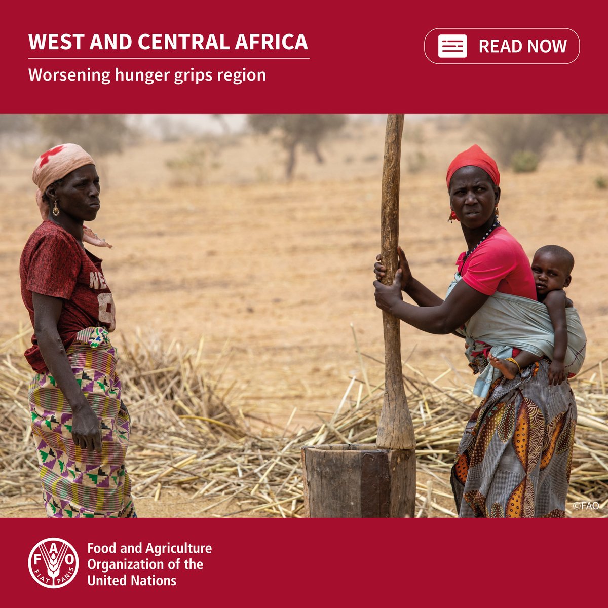 .@FAO-@UNICEF-@WFP sound the alarm as worsening hunger grips West and Central Africa amid conflict and economic turmoil. Nearly 55 million people will struggle to feed themselves in the upcoming lean season. Urgent long lasting actions are required. bit.ly/3W06x1h