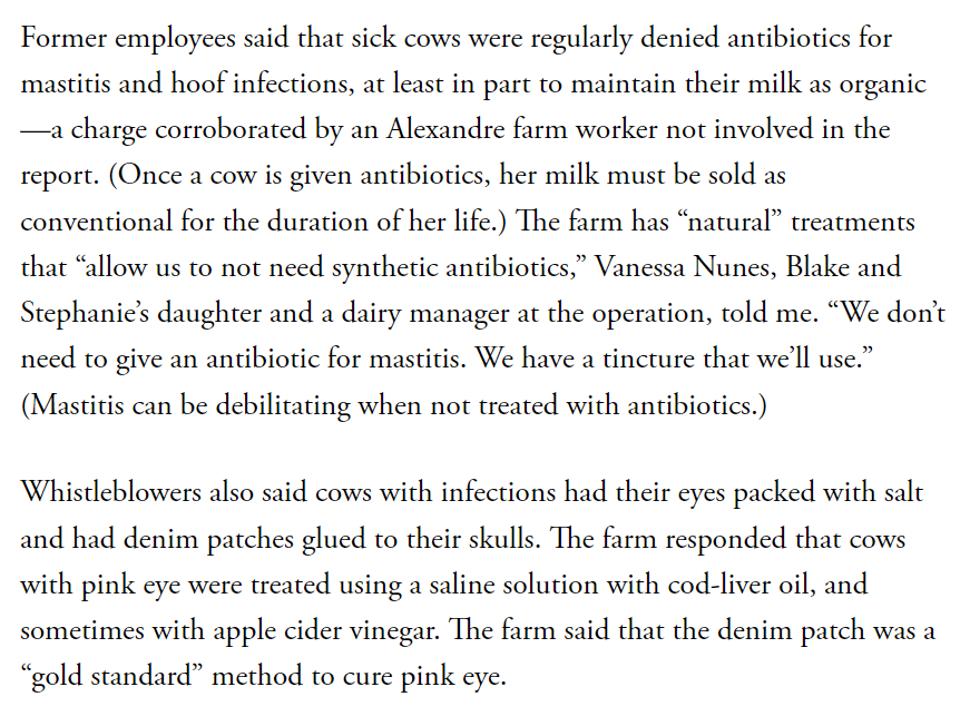 Must-read. I didn't realize this: organic milk producers can't give their animals antibiotics, and apparently many of them resort to horrible quack cures like packing eye infections with salt.