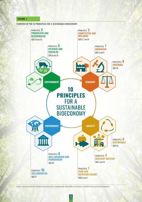 🌿The 10 aspirational principles & 24 criteria for a sustainable #Bioeconomy give guidance on finding efficient, inclusive, resilient & sustainable bio-based activities in all economic sectors:
👉fao.org/3/cb3706en/cb3…
#GenerationRestoration
@FAOclimate