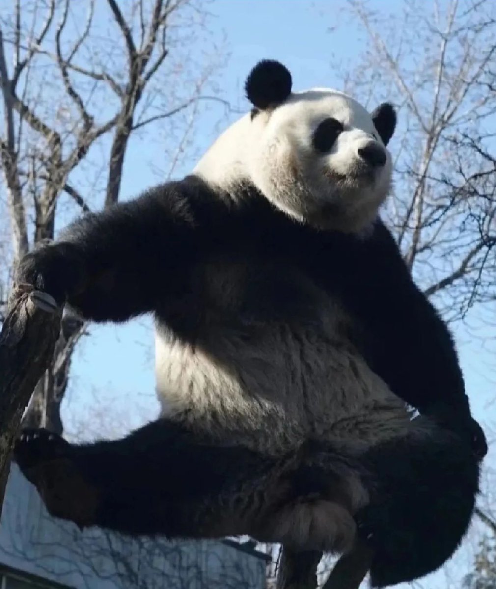 รูปแรกคือเป๊ะเลย 5555555555