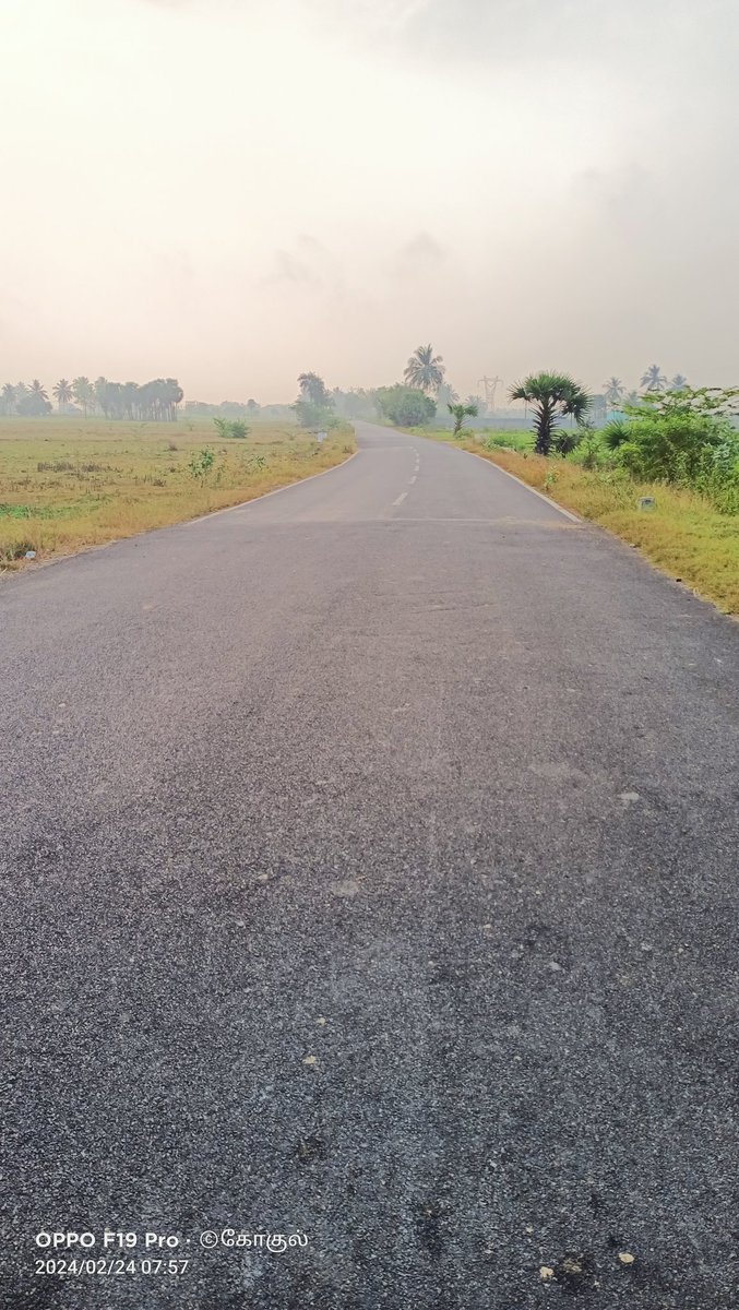 நாங்களும் சீப்பு வச்சிருக்கோம்😁