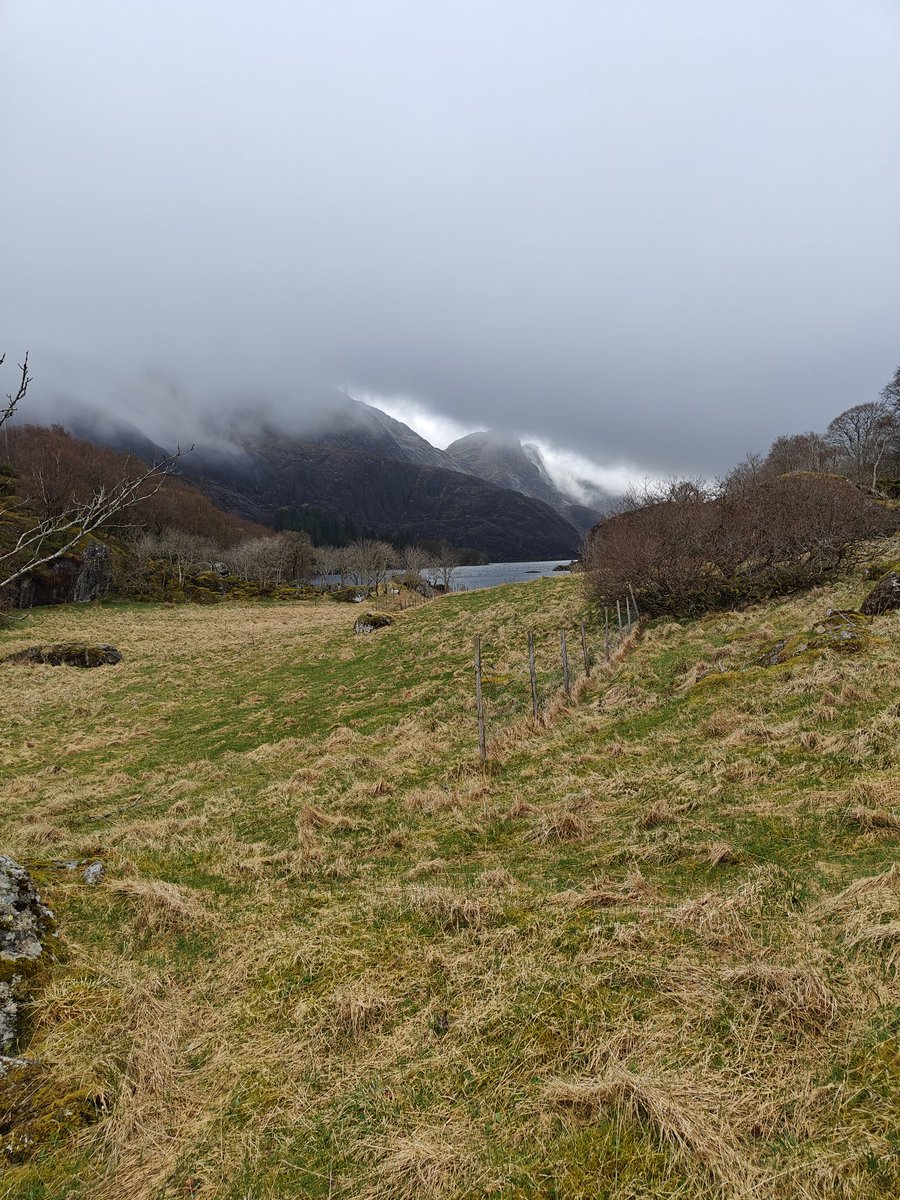 AtleM's tweet image. Herlig med en tur i havgapet igjen 😍 nå må det bare ristes av litt tåke så blir det bra dette 🙂 sjøørret på første kast slapp med skrekken å svømmer videre med en kul historie å fortelle 😂