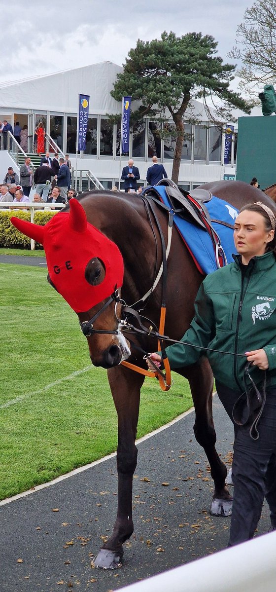 racingblogger's tweet image. FIREFOX is a stunning horse. 💪