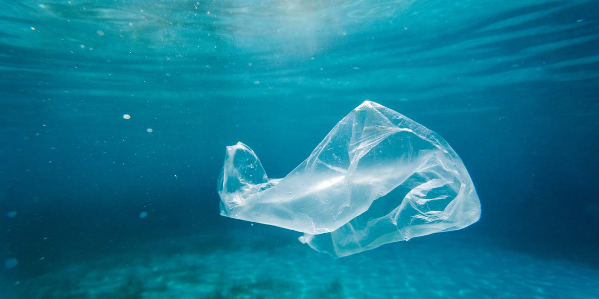 Des scientifiques de @MerkleInstitute , en collaboration avec @TUDarmstadt , ont mis au point un nouveau type de #polymère, le principal composant des plastiques, plus facilement dégradable que les matériaux habituels. shorturl.at/efIKU #pollution #plastique #Unifr