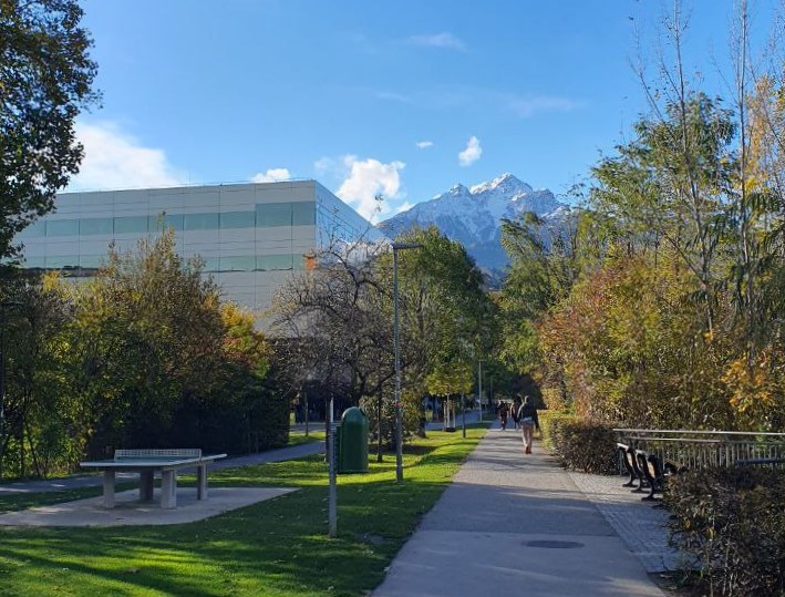 📢 #JobAlert  📢
Looking for two #PhD students interested in studying cancer cell adhesion and migration in my lab!

Join us at the Medical University Innsbruck - Look at our building in the photo!
 
More information here:
euraxess.ec.europa.eu/jobs/224484