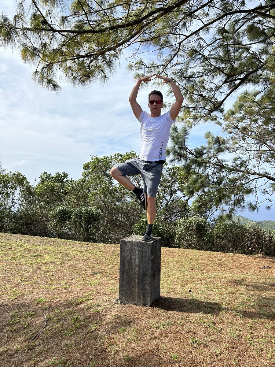 Congratulations <a href="/TilenGenov/">Tilen Genov</a> our new <a href="/EuroCetSoc/">European Cetacean Society</a> chair! 🥳 I feel very lucky to have worked with you over the past year and look forward to further collaboration and Pitcairn fun times 🐋