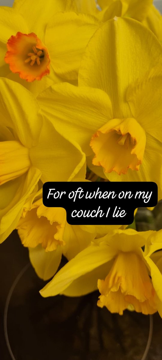 Oshunsprite's tweet image. The daffodils on the windowsill really are glorious.
Whereas I&apos;m vacant &amp;amp; pensive in need of cake as the protein balls aren&apos;t doing it.
All week I&apos;ve been bedbound. Is it due to the 👁️injection last Sat? A new supplement? #PEMs
Alexa says: Put your feet up.