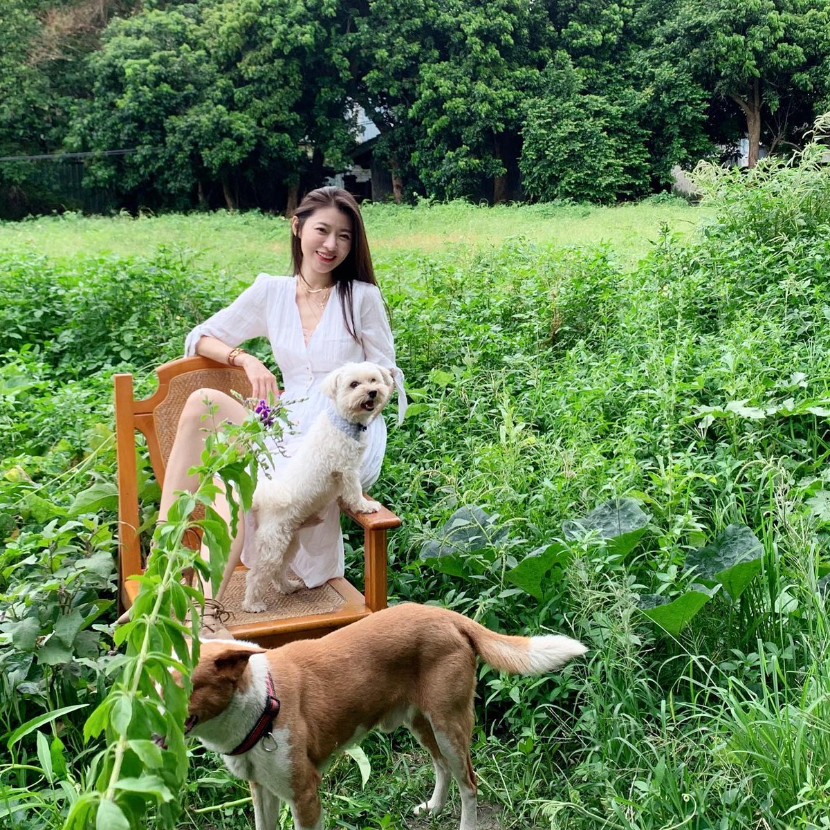 xnaking's tweet photo. 田園の風はとても心地よい
一人に属し、二匹の犬の楽しみ
本当に時間を遅くして、時間を楽しんで生活を愛したい
#時は古くない #犬 #園林 #清新風 #犬バカ部 https://t.co/60pTez6iJ7