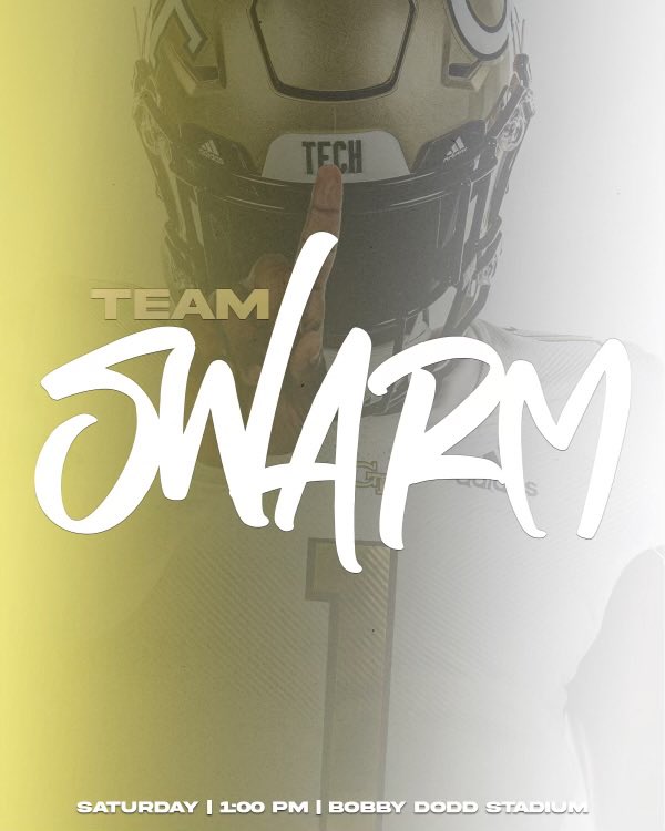 See you at the flats tomorrow for White & Gold Spring Game tomorrow at 1pm! #SWARM #STINGEM