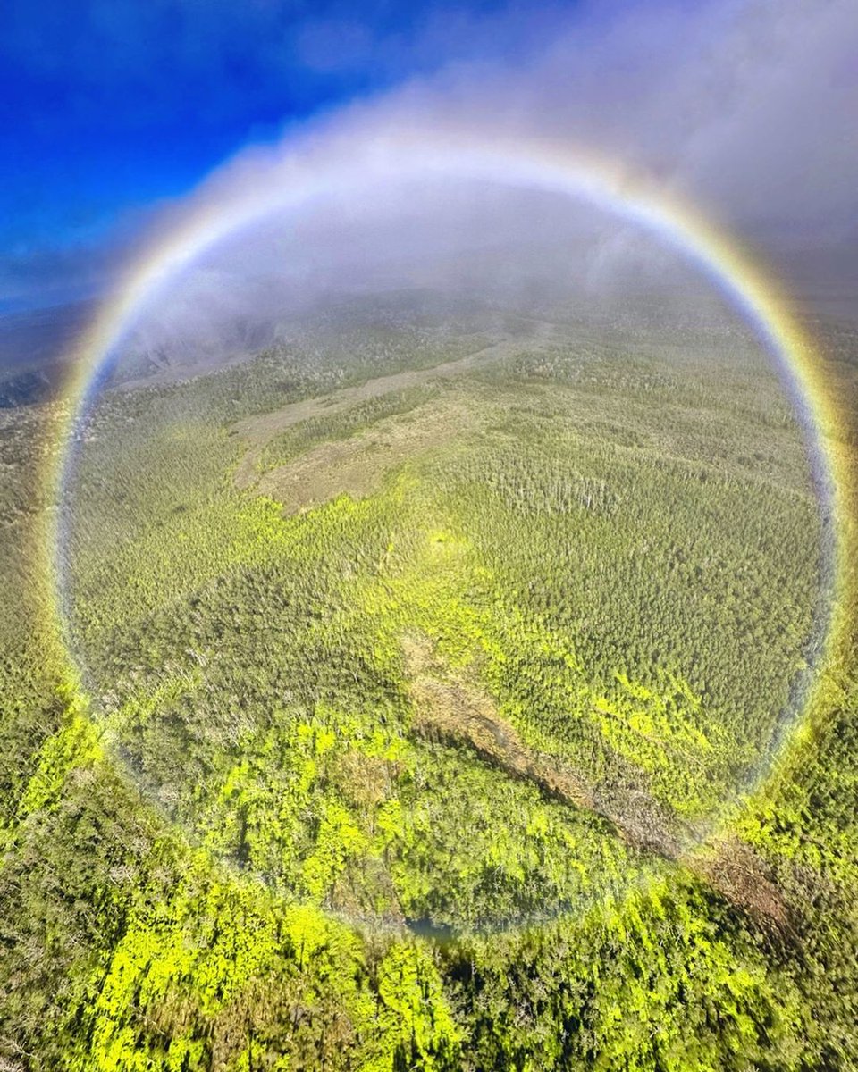 Have you seen a full rainbow before? The timing was perfect during our flight over Volcanoes National Park in Hawai’i! 🌈 🚁 📸 @mthiessen . . . #explorehawaii #adventure #travelinspo #fullrainbow #rainbow #hawaiimagic
