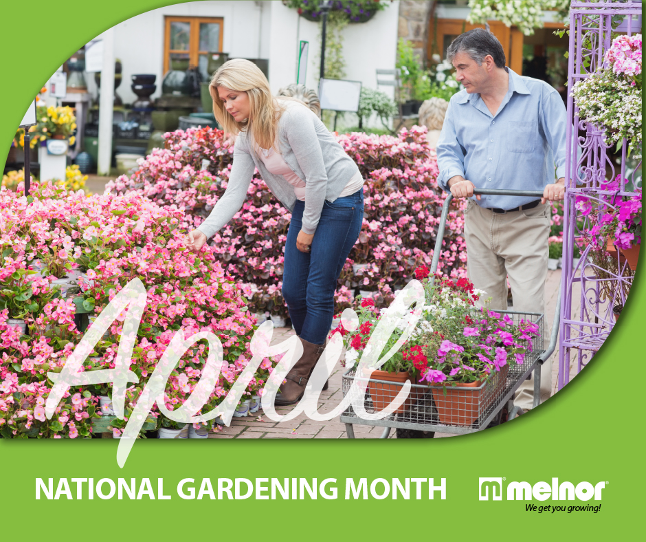 We're celebrating National Gardening Month all month! Whether you're planting blooms or simply basking in your grass, this month is all about the joy of growing! 

Share your top tips for growing success!

#melnor #nationalgardeningmonth #gardening #diygarden #planting #backyard