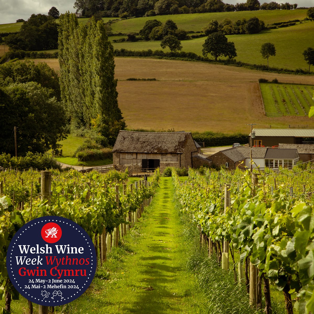 SAVE THE DATES 🗓️

⭐  Welsh Wine Week: 24 May – 2 June
⭐  English Wine Week: 15 June – 23 June 

Let us know if you’re holding an event – email office@winegb.co.uk

#winegb #welshwineweek #englishwineweek
